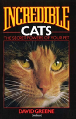 Bertrand.pt - Incredible Cats