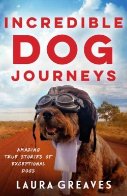 Bertrand.pt - Incredible Dog Journeys