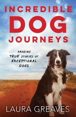 Bertrand.pt - Incredible Dog Journeys