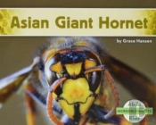 Incredible Insects (Set Of 6)