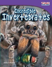 Incredible Invertebrates