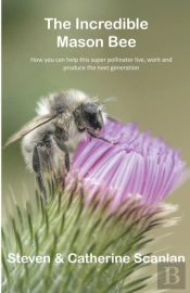 Incredible Mason Bee