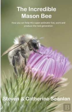 Bertrand.pt - Incredible Mason Bee