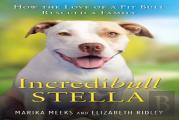 Incredibull Stella