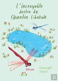 Bertrand.pt - Incroyable Destin De Quentin Libellule