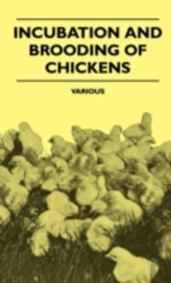 Bertrand.pt - Incubation And Brooding Of Chickens