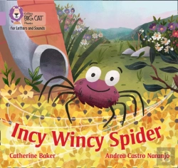 Bertrand.pt - Incy Wincy Spider