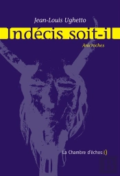 Indécis Soit-Il ; Anicroches