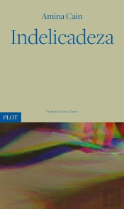 Indelicadeza