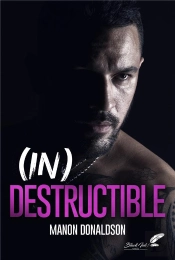 (In)Destructible