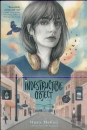 Indestructible Object
