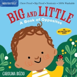 Bertrand.pt - Indestructibles: Big And Little: A Book Of Opposites