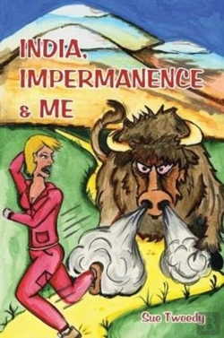 Bertrand.pt - India, Impermanence & Me