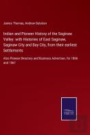 Indian And Pioneer History Of The Saginaw Valley