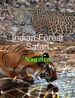 Bertrand.pt - Indian Forest Safari - Nagzira