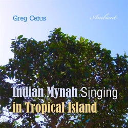 Bertrand.pt - Indian Mynah Singing In Tropical Island
