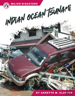 Bertrand.pt - Indian Ocean Tsunami