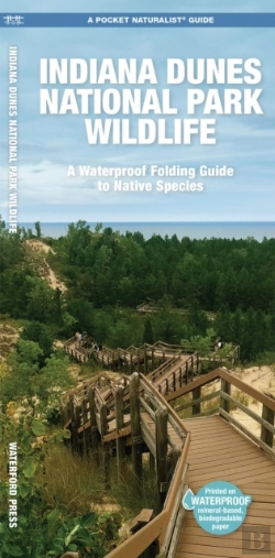 Bertrand.pt - Indiana Dunes National Park Wildlife