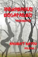 Indigenous Escapades Presents