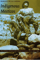 Indigenous Mestizos