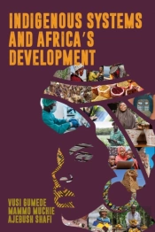 Indigenous Systems And Africa'S Development