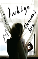 Indigo - A Novel