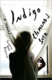 Indigo - A Novel