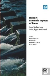 Indirect Economic Impacts Of Dams