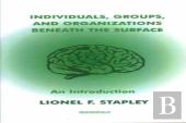 Individuals, Groups And Organizations Beneath The Surface
