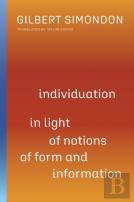 Individuation In Light Of Notions Of Form And Information