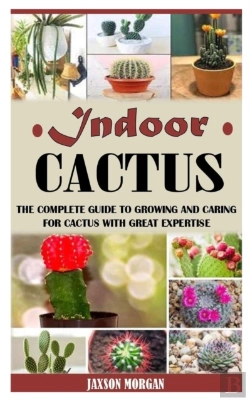 Bertrand.pt - Indoor Cactus