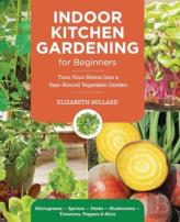 Indoor Kitchen Gardening For Beginners