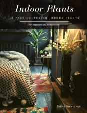 Indoor Plants