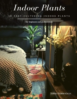 Bertrand.pt - Indoor Plants