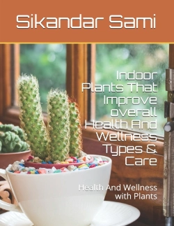 Bertrand.pt - Indoor Plants That Improve Overall Health And Wellness Types & Care