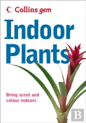 Indoor Plants
