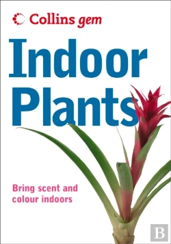 Bertrand.pt - Indoor Plants