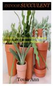 Indoor Succulent