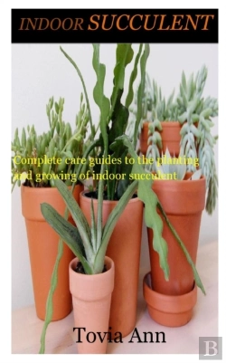 Bertrand.pt - Indoor Succulent