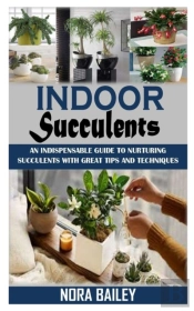 Indoor Succulents