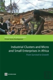 Industrial Clusters And Micro And Small Enterprises In Africa