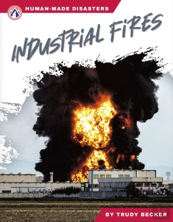 Bertrand.pt - Industrial Fires