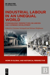 Industrial Labour In An Unequal World