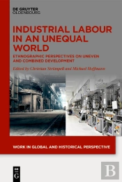 Industrial Labour In An Unequal World