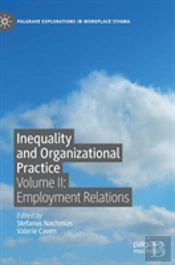 Inequality And Organizational Practice