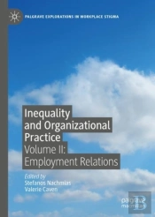 Inequality And Organizational Practice