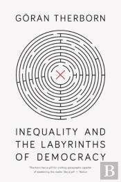 Inequality And The Labyrinths Of Democracy