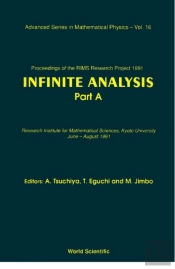 Infinite Analysis: Rims Project 1991 (In 2 Volumes)