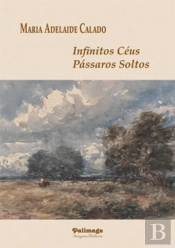Infinitos Céus, Pássaros Soltos