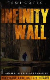 Infinity Wall